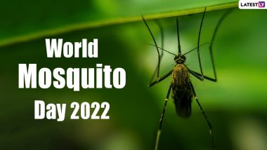 World Mosquito Day 2022 Images & Slogans: Messages, Quotes, Posters and HD Wallpapers to Celebrate British Doctor Sir Ronald Ross's Significant Discovery